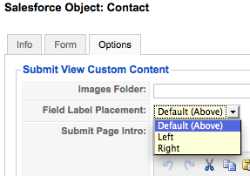jsf-submit-field-label-place-popup.png