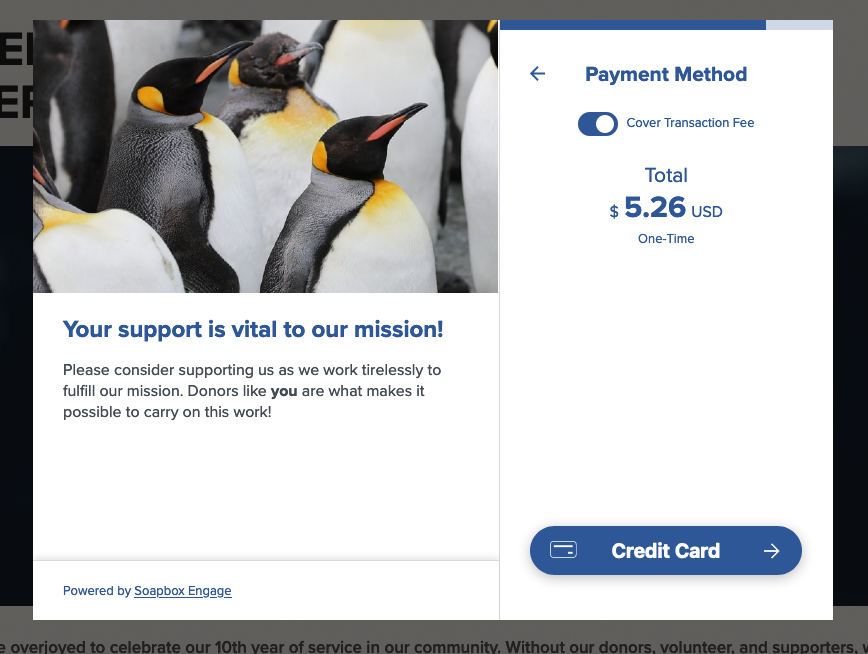 donations-modal-pg4.png