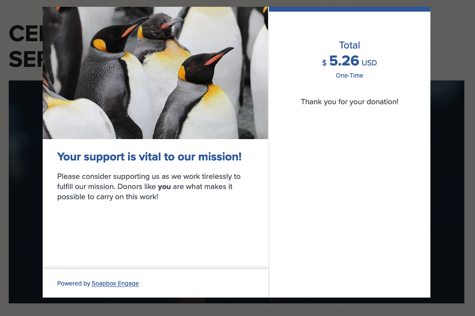 donations-modal-pg6.png